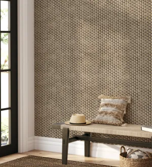 Bauhaus Star  KAMI – Beija Wall Paper