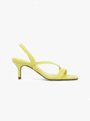 Felicia yellow