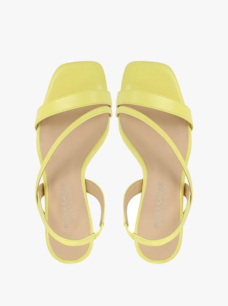 Felicia yellow